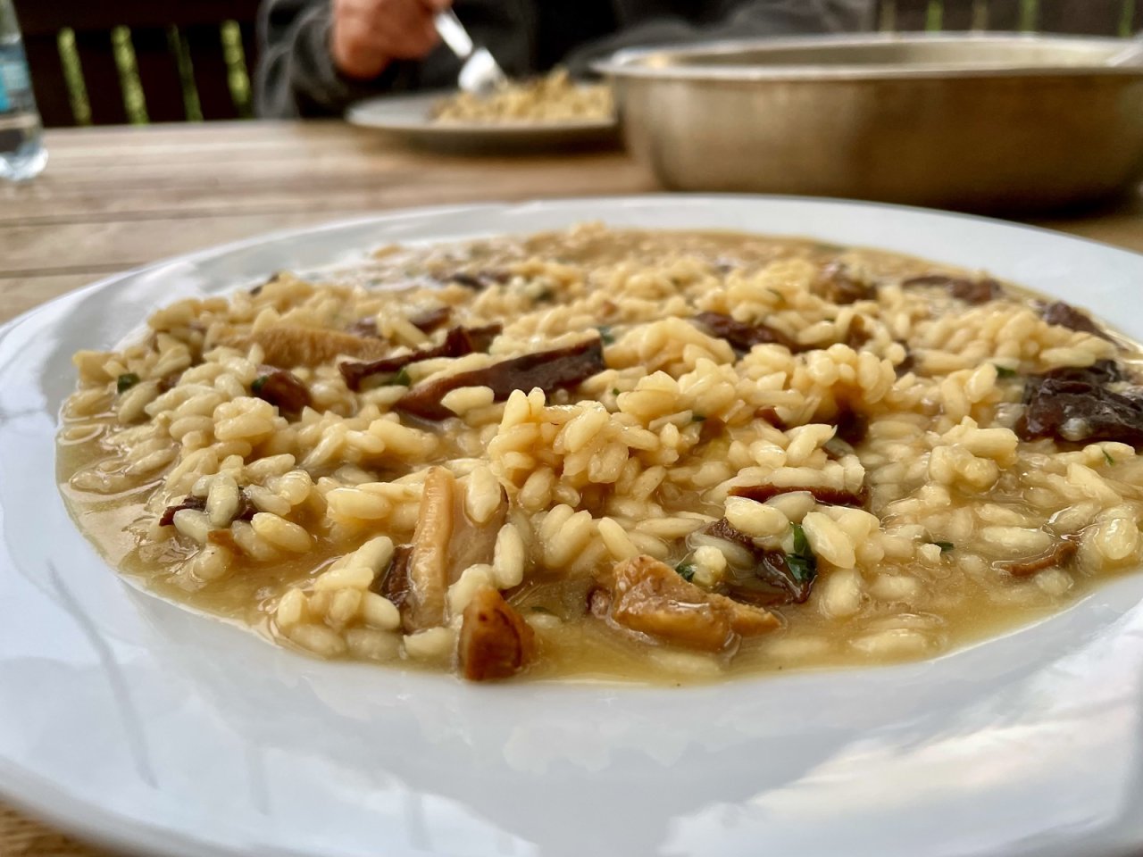 houbové risotto