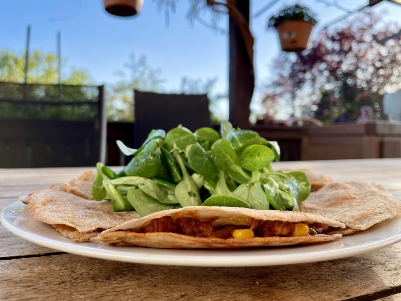 fusion quesadillas