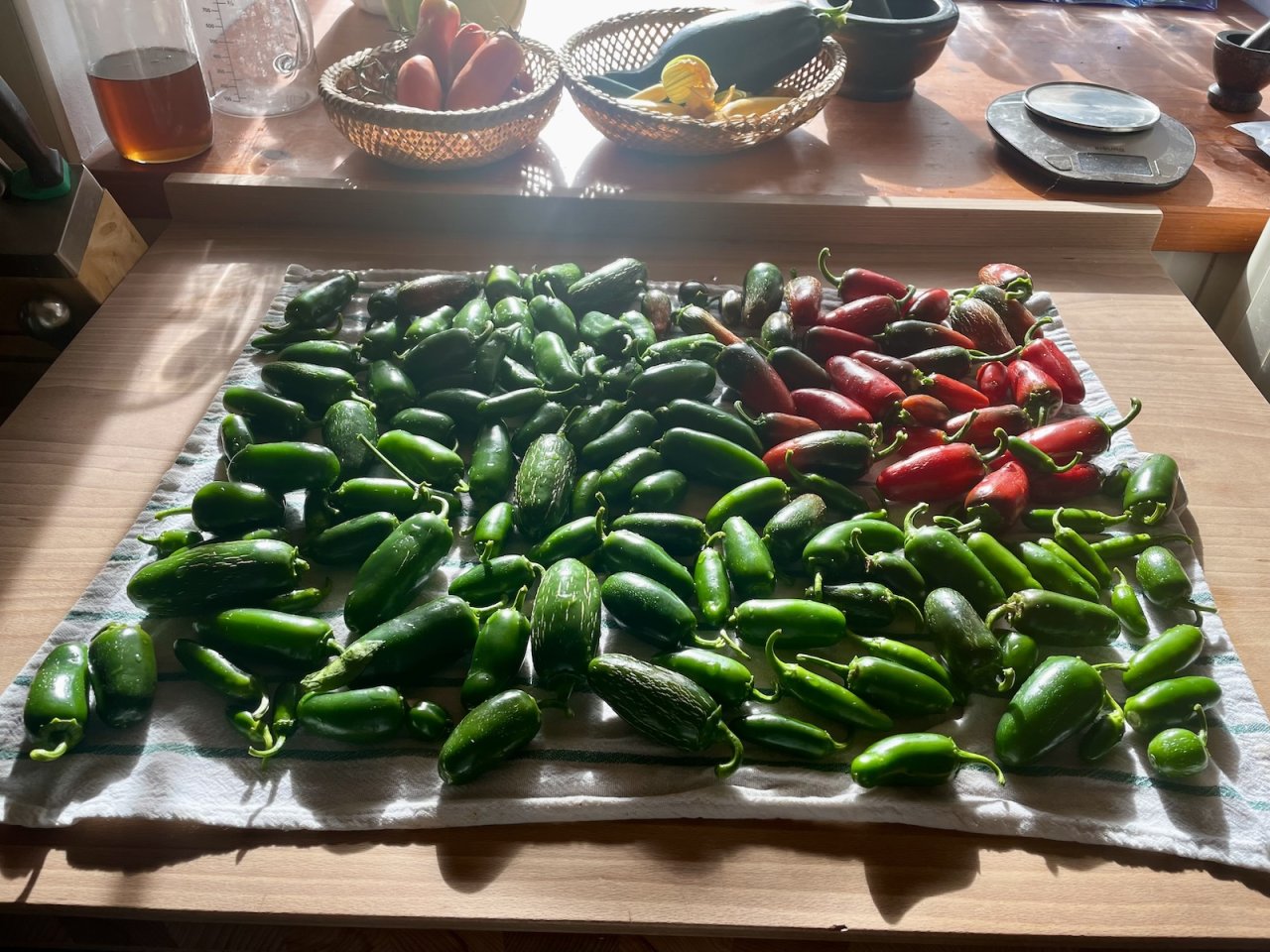 pečené jalapeños