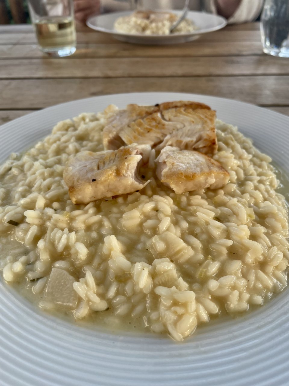 ryba, risotto